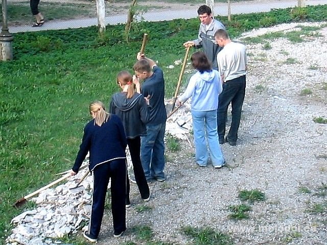 101 0193