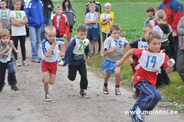 1 (2)