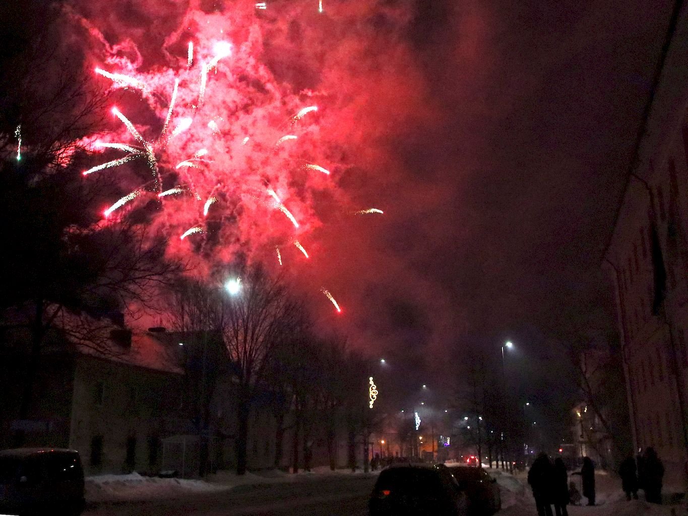 2V4A5095 esn foto 01.01.2022