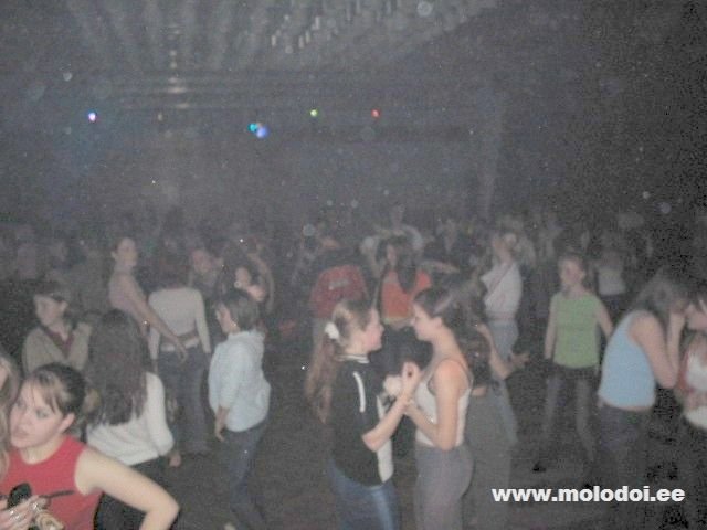 IMG 0008
