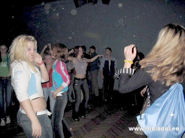 IMG 0072