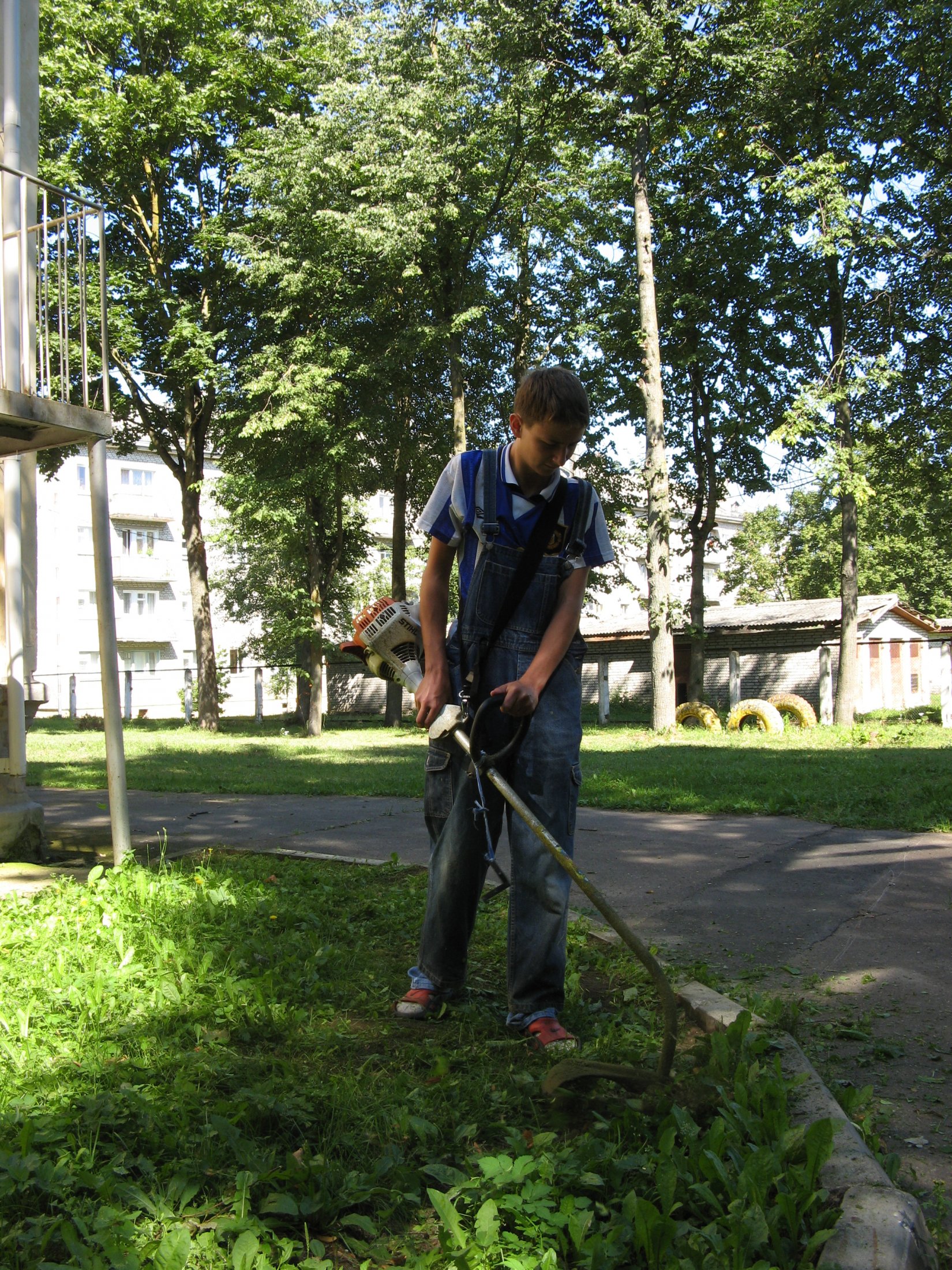 IMG 0221