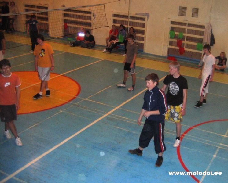 IMG 0367