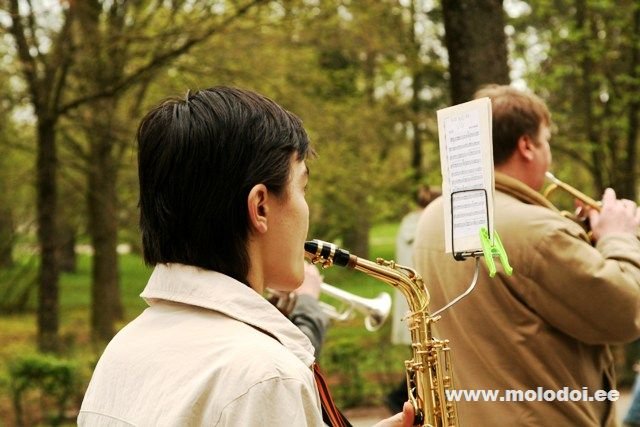 IMG 2458