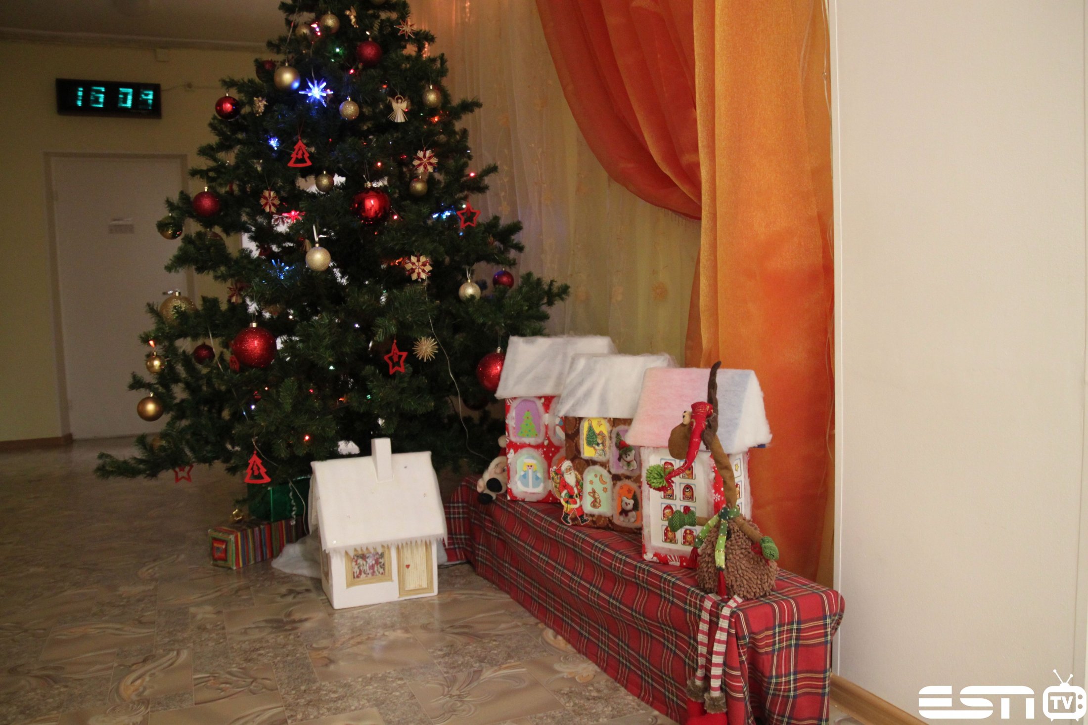 IMG 2570