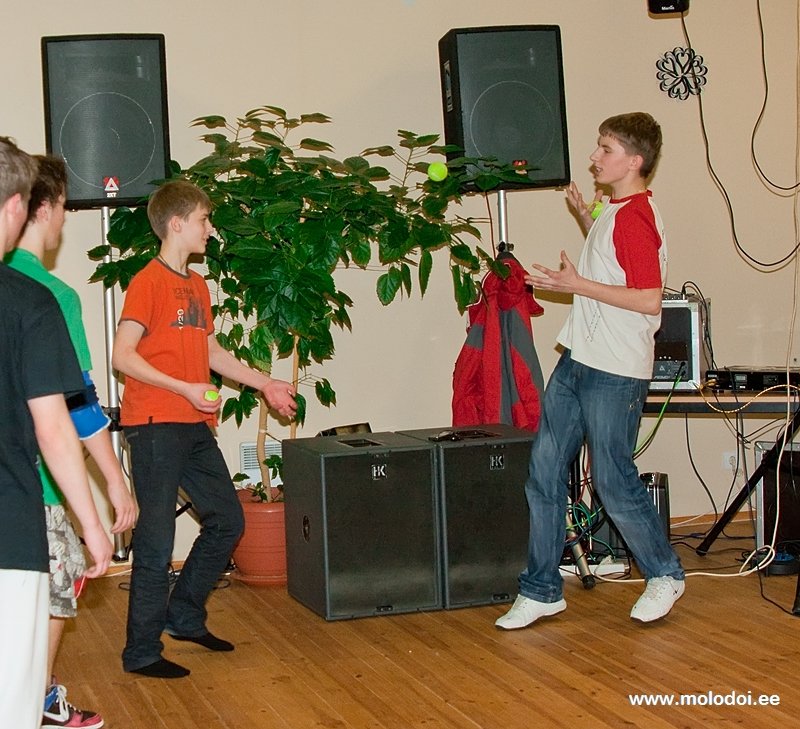 IMG 2646