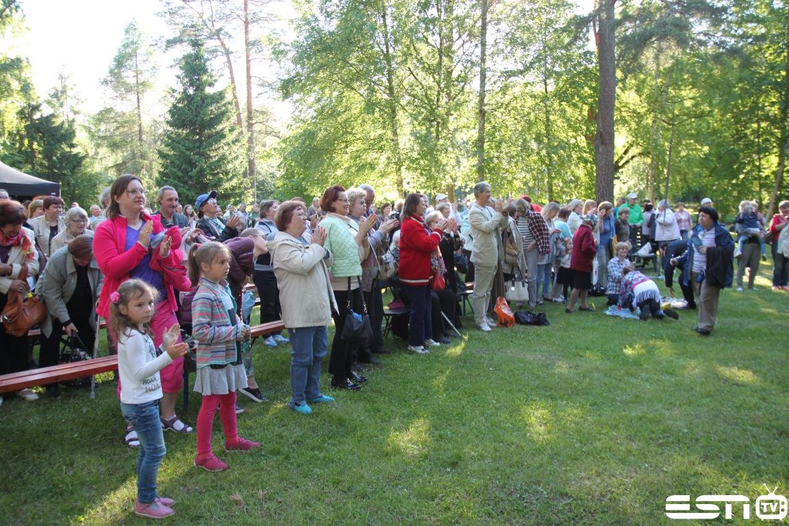 IMG 3935