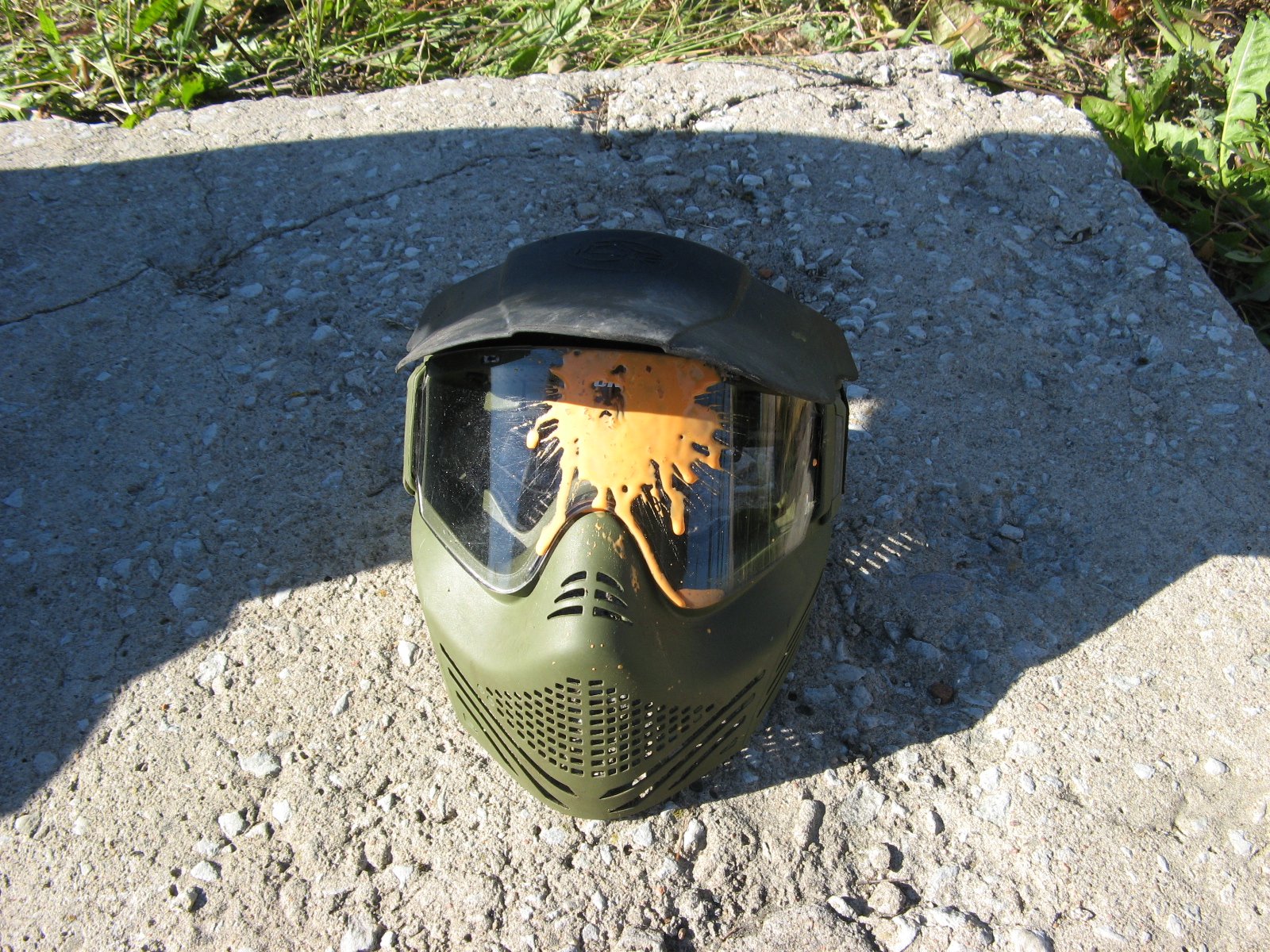 IMG 3983