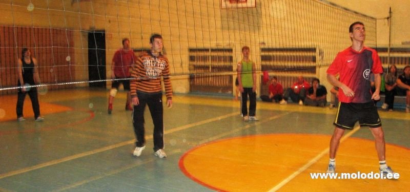 IMG 5524