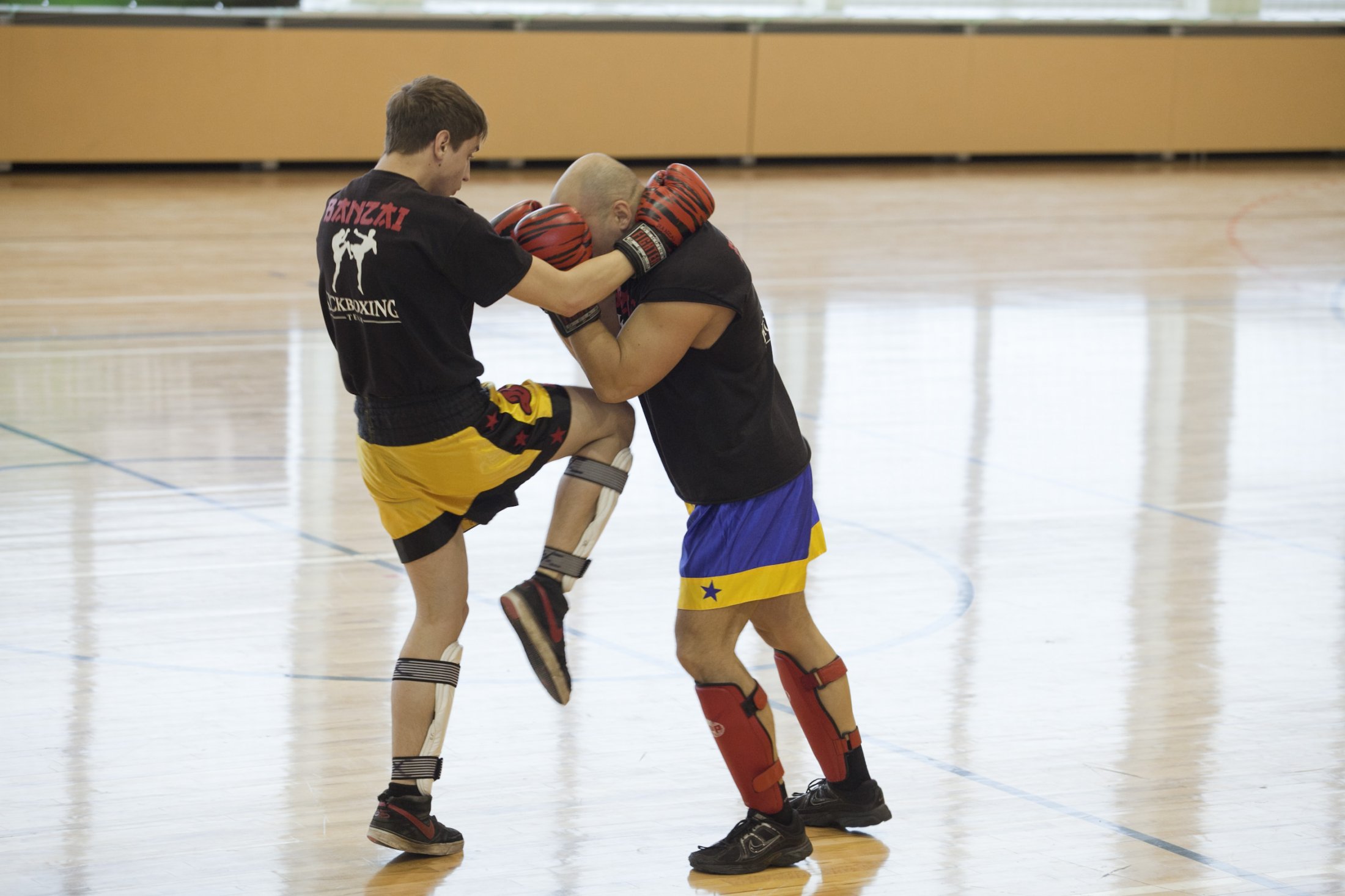 IMG 7361