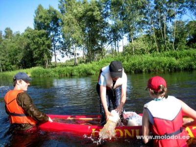 100 00063 (160)