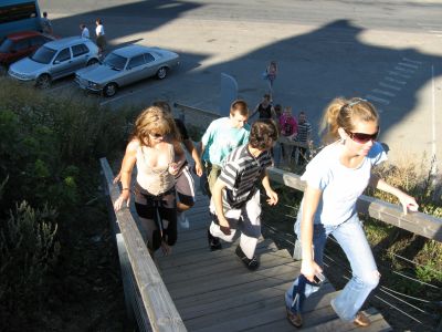 IMG 0313