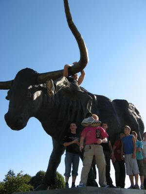 IMG 0339
