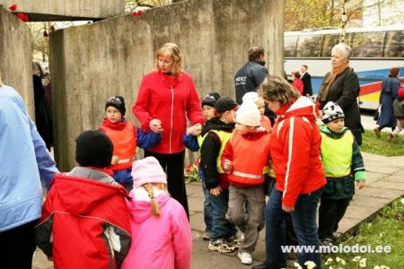 IMG 2661