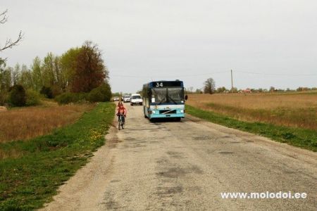 IMG 2731