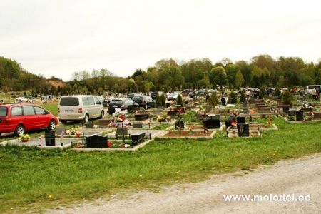 IMG 2743