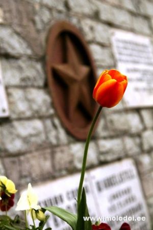 IMG 3047
