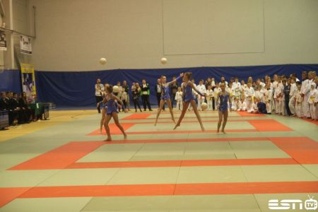 IMG 3848