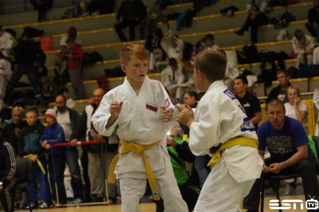 IMG 4597