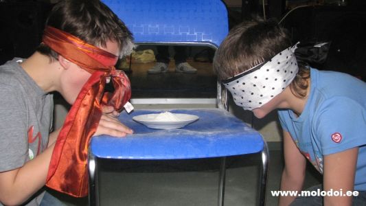 IMG 4794