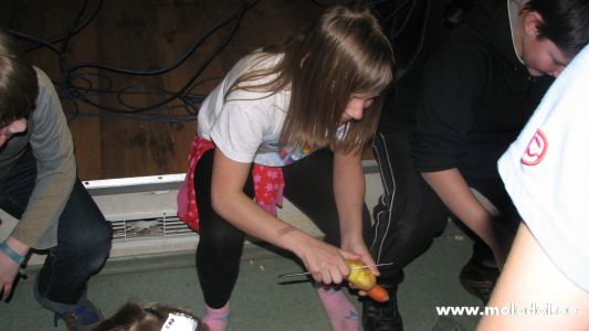 IMG 4874