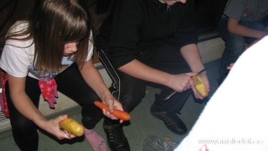 IMG 4875