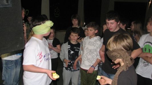 IMG 5253