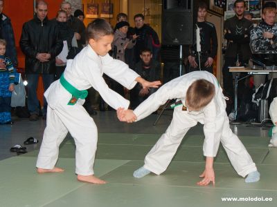 IMG 6154