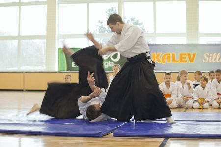 IMG 7084
