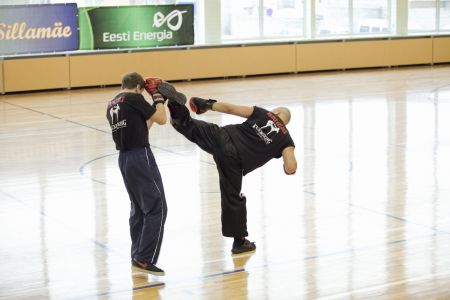 IMG 7252