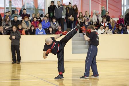 IMG 7260