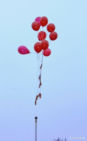 9 мая 2010