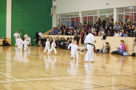 IMG 7653
