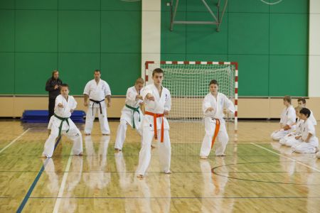 IMG 7689