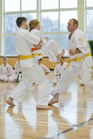 IMG 7707