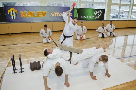 IMG 7746