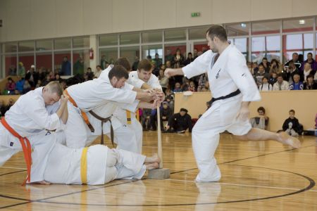 IMG 7760