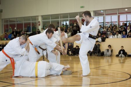 IMG 7761