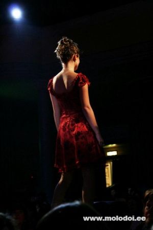 IMG 9006
