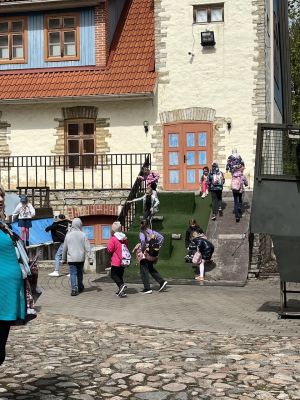 IMG 9389
