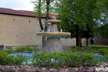 IMG 9473 esn foto 13.06.2022