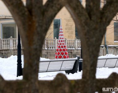 IMG 9477 esn foto 6.12.2021