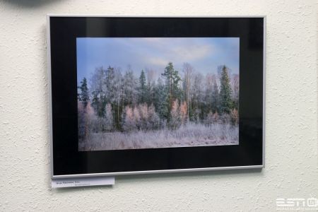 IMG 9747 esn foto 5.12.2021
