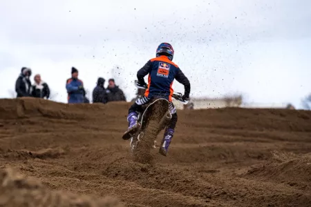 DSC0100 result