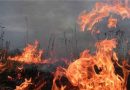 Сжигание травы запрещено в Эстонии круглый год