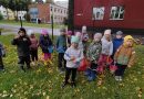 Narva Lasteaed Potsataja принял участие во Всемирном Дне уборки