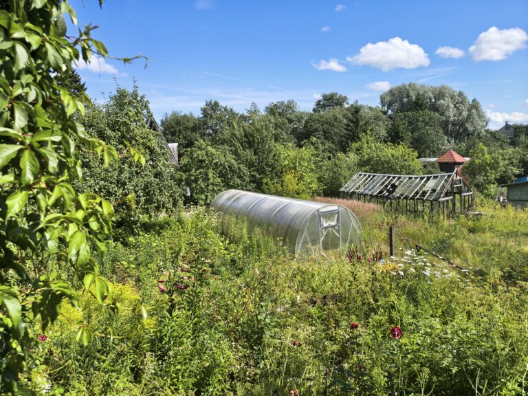 Продается дача в садовом кооперативе Дружба