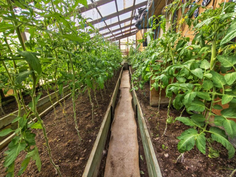 Продается пол дома в Синимяэ, Рохелине 31